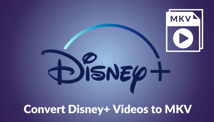 convert disneyplus video to mkv