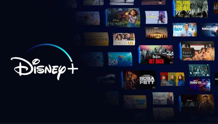 keep disneyplus video after canceling subscription