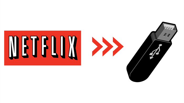 move videos from netflix to usb