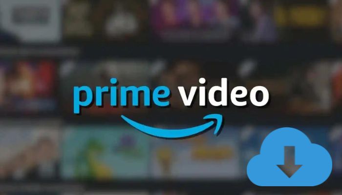 top 3 amazon video downloader