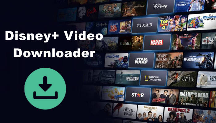 top disney plus video downloader