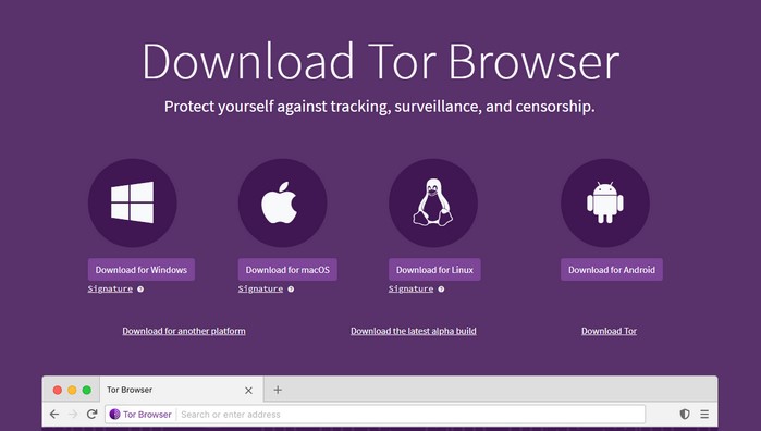 tor browser