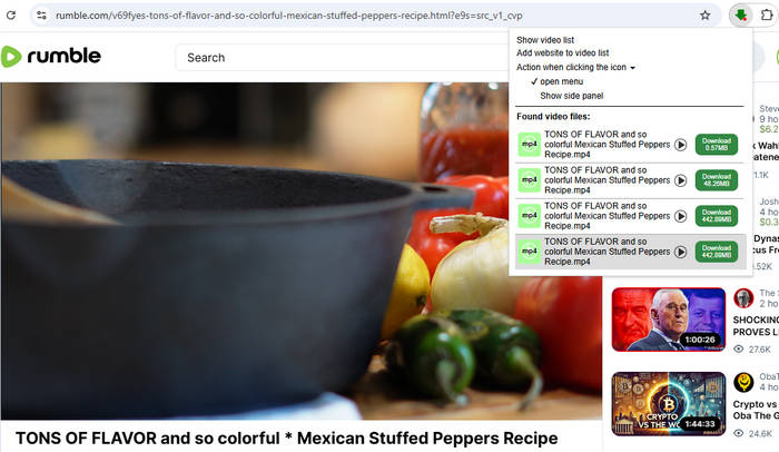 rumble downloader extension: video downloader professional