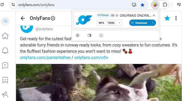 onlyfans downloader chrome video downloaderhelper