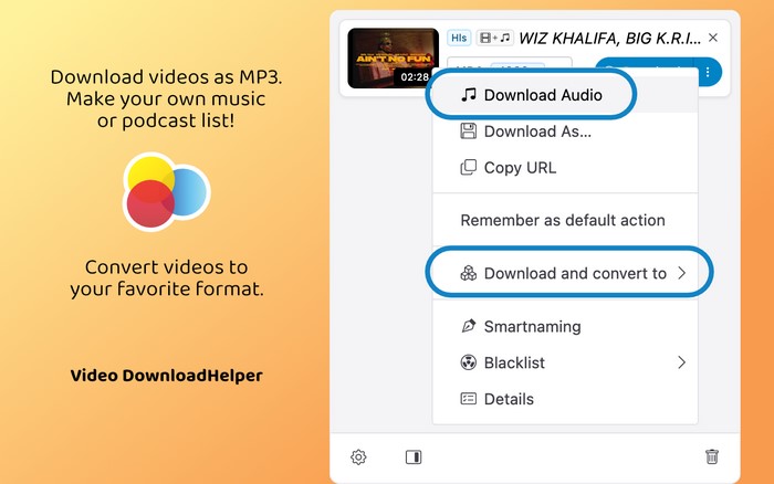 Video DownloadHelper