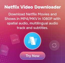 netflix video downloader