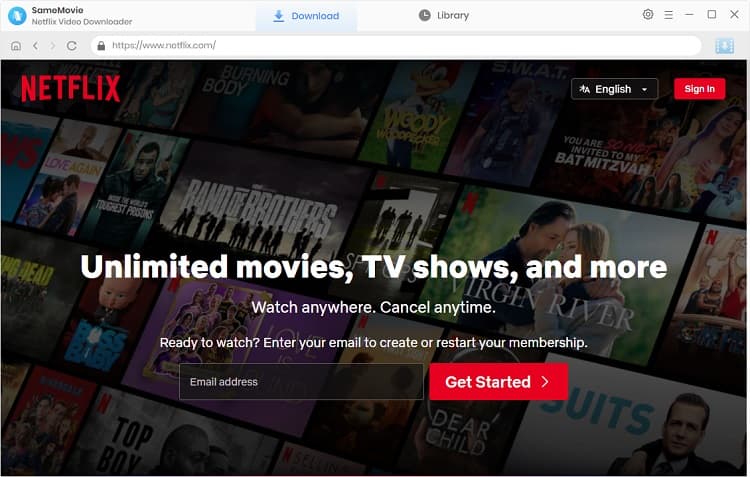 How to Stream Netflix Movies and TV Shows on VLC Media Player | SameMovie